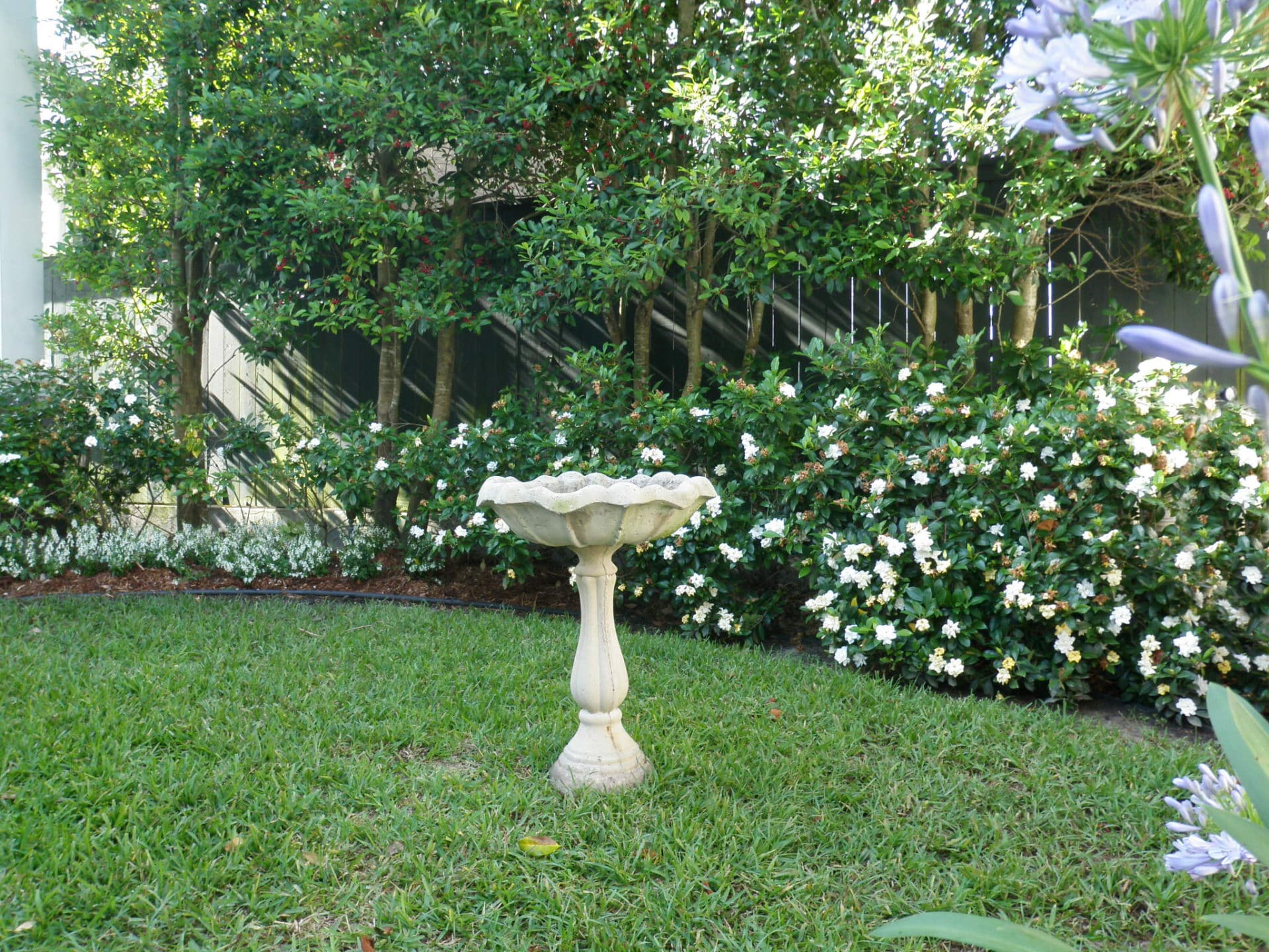 Higgins Landscape all white landscaping