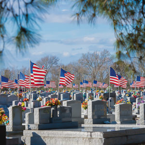 Veterans of the Mighty Red, White, and Blue